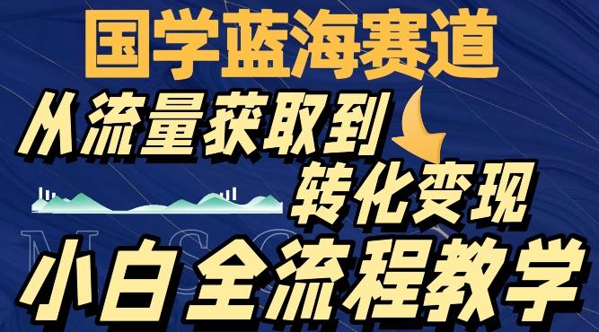 国学蓝海赛道，从流量获取，到转化变现，全流程教学-鑫梵淘