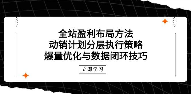 （14698期）全站盈利布局方法：动销计划分层执行策略，爆量优化与数据闭环技巧-鑫梵淘