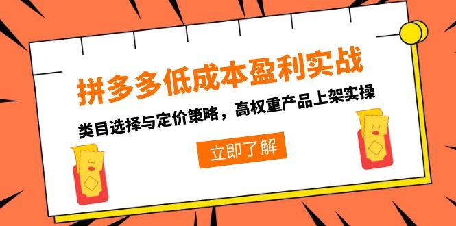拼多多低成本盈利实战，类目选择与定价策略，高权重产品上架实操-鑫梵淘