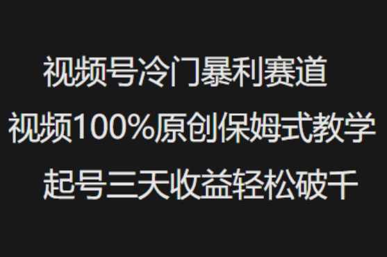 视频号冷门暴利赛道视频100%原创保姆式教学起号三天收益轻松破千-鑫梵淘
