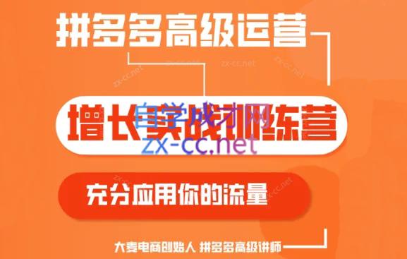 大麦老师·拼多多单品爆款打造课程(更新6月)-鑫梵淘