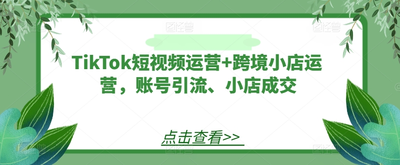 TikTok短视频运营+跨境小店运营，账号引流、小店成交-鑫梵淘