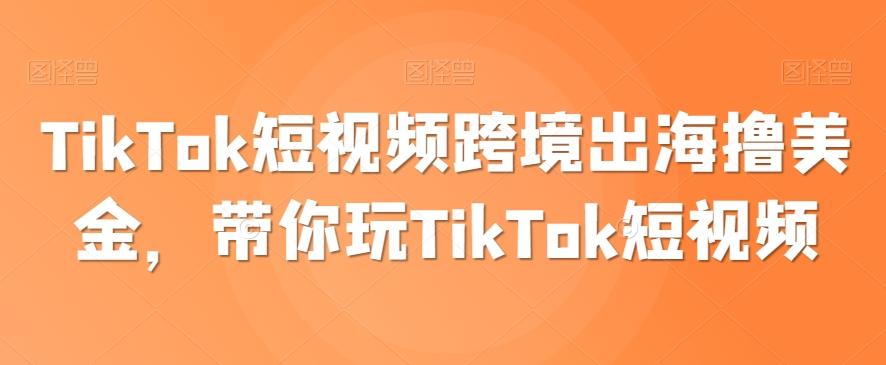 TikTok短视频跨境出海撸美金，带你玩TikTok短视频-鑫梵淘