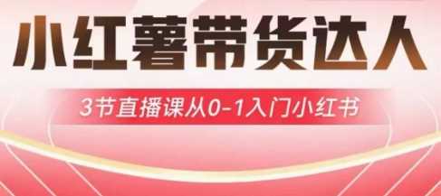 小红薯达人带货启航计划，3节直播课从0-1入门小红书-鑫梵淘