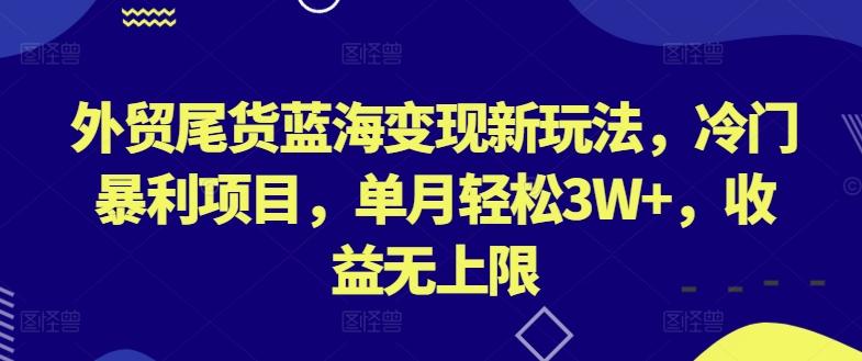 外贸尾货蓝海变现新玩法，冷门暴利项目，单月轻松3W+，收益无上限【揭秘】-鑫梵淘