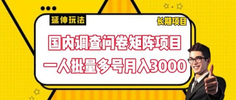 国内调查问卷矩阵项目，一人批量多号月入3000【揭秘】-鑫梵淘