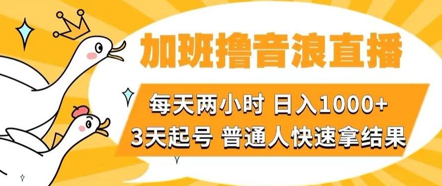 加班撸音浪直播，每天两小时，日入1000+，直播话术才3句，3天起号，普通人快速拿结果【揭秘】-鑫梵淘