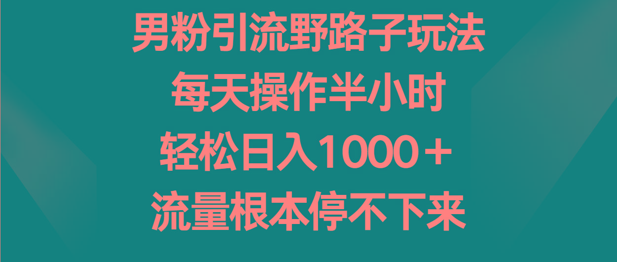 男粉引流野路子玩法，每天操作半小时轻松日入1000＋，流量根本停不下来-鑫梵淘