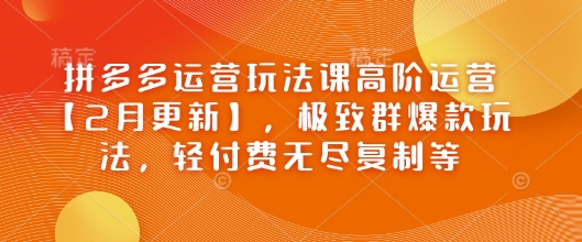 拼多多运营玩法课高阶运营【2月更新】，极致群爆款玩法，轻付费无尽复制等-鑫梵淘