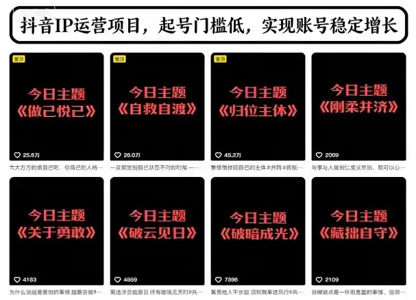 抖音IP运营项目,抖音今日主题玩法,起号门槛低,实现账号稳定增长