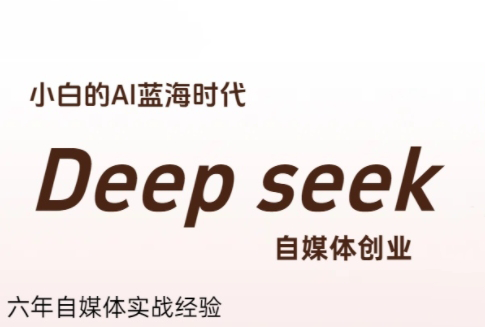 冰冰老师·普通人如何利用Deepseek创业-鑫梵淘