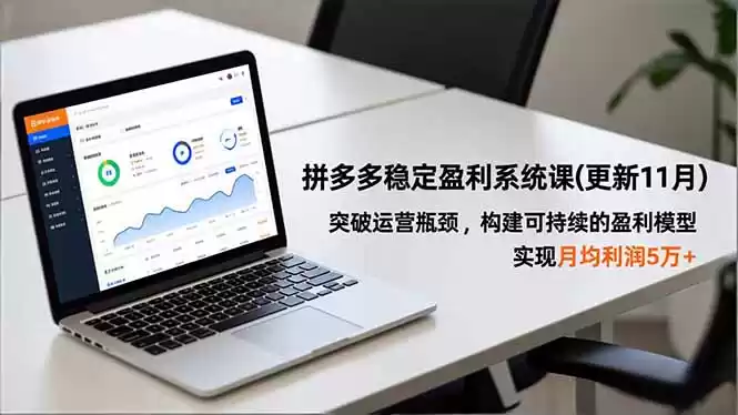 拼多多稳定盈利系统课(更新11月-鑫梵淘