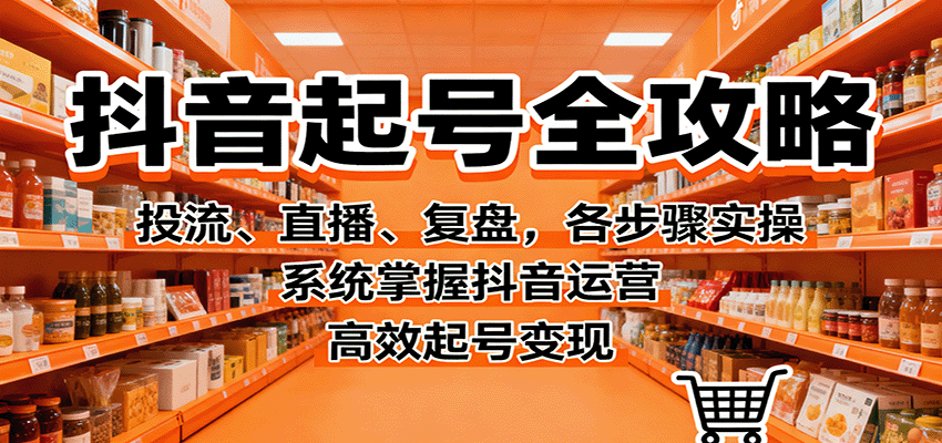 抖音起号全攻略，投流、直播、复盘，各步骤实操，系统掌握抖音运营，高效起号变现-鑫梵淘