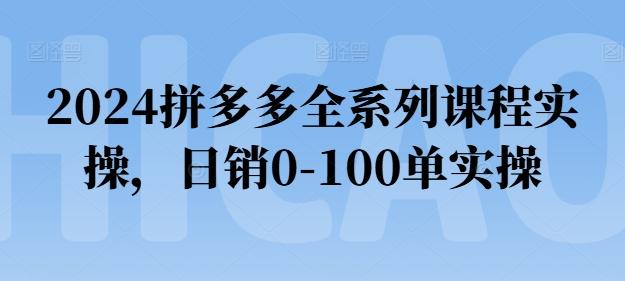 2024拼多多全系列课程实操，日销0-100单实操【必看】-鑫梵淘