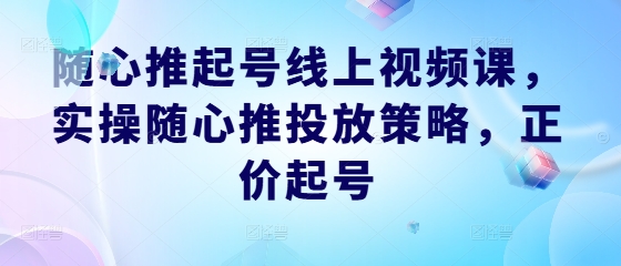 随心推起号线上视频课，实操随心推投放策略，正价起号-鑫梵淘