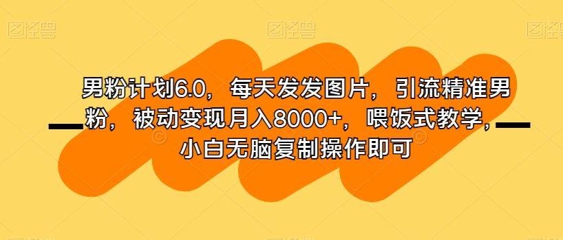 男粉计划6.0，每天发发图片，引流精准男粉，被动变现月入8000+，喂饭式教学，小白无脑复制操作即可-鑫梵淘