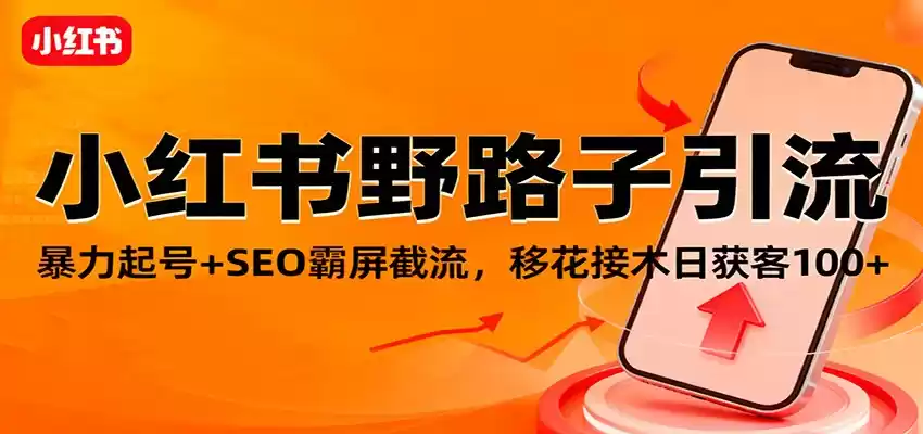 小红书野路子引流，暴力起号+SEO霸屏截流，移花接木日获客100+-鑫梵淘