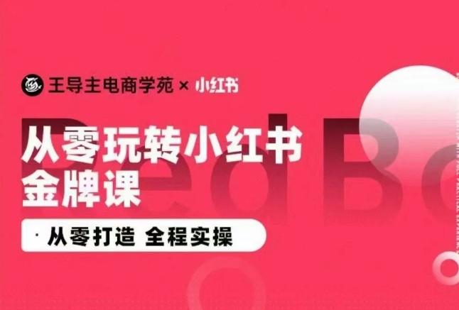 王导主·小红书电商运营实操课，​从零打造  全程实操-鑫梵淘