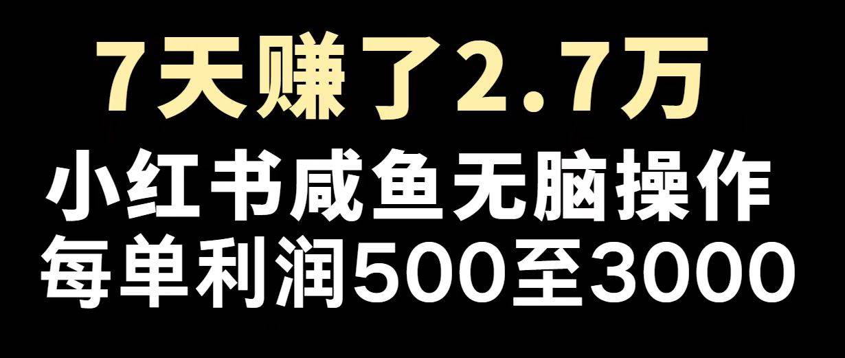 （14183期）最赚钱项目之一，2025爆火，逆风翻盘！-鑫梵淘