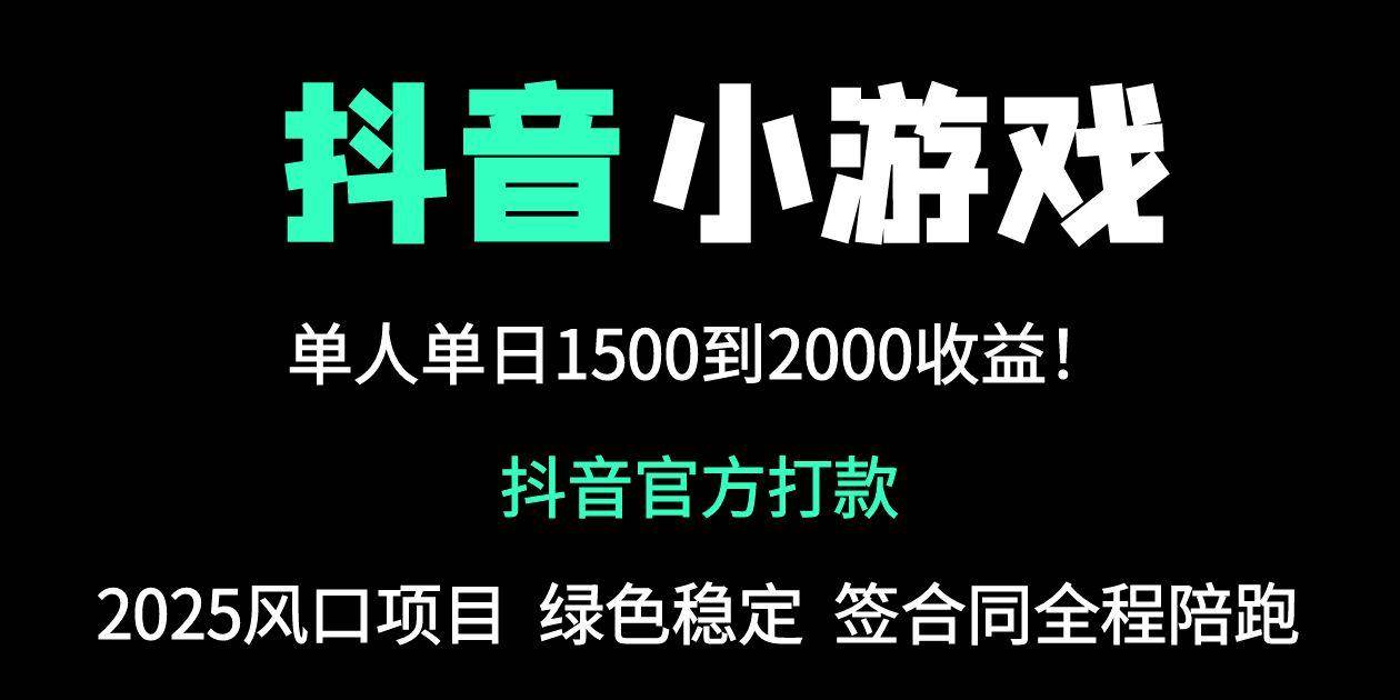（14527期）抖音官方小游戏2025全网最新玩法，暴利赚钱项目，单机日入2000+，绝不…-鑫梵淘