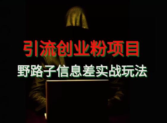 【引流创业粉】野路子信息差玩法实战教学-鑫梵淘