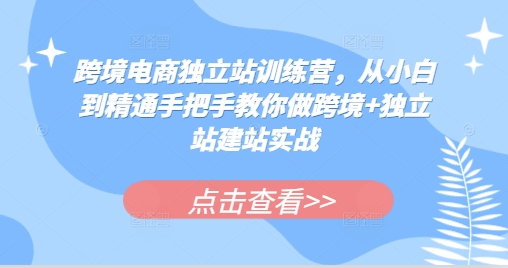 跨境电商独立站训练营，从小白到精通手把手教你做跨境+独立站建站实战-鑫梵淘