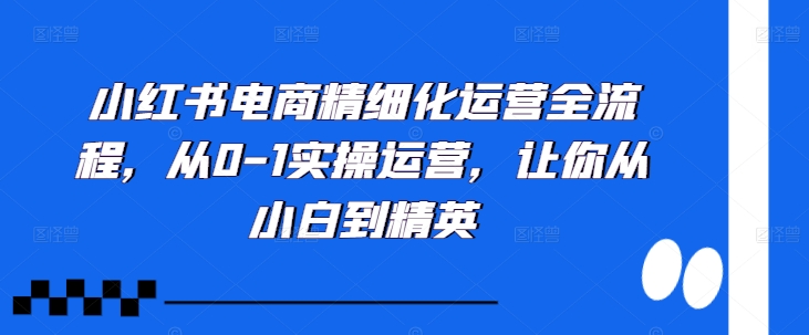 小红书电商精细化运营全流程，从0-1实操运营，让你从小白到精英-鑫梵淘