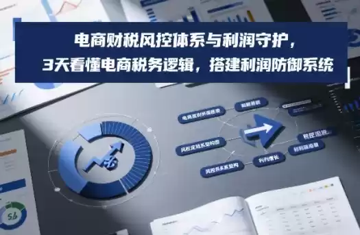 电商财税风控体系与利润守护，3天看懂电商税务逻辑，搭建利润防御系统-鑫梵淘