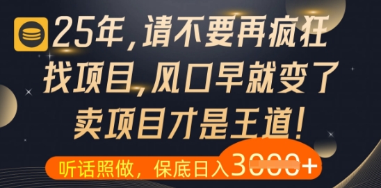 什么？25年你还在疯狂找项目做，醒醒吧，看完这些你全都懂了【揭秘】-鑫梵淘