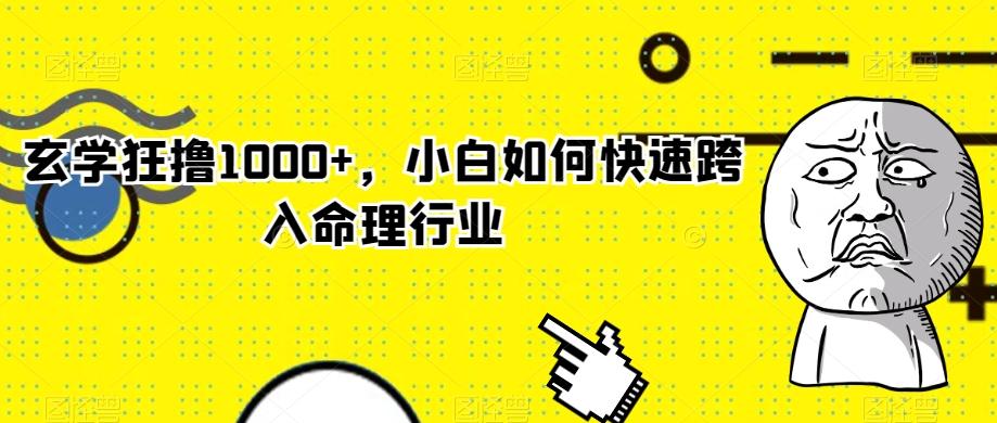 玄学狂撸1000+，小白如何快速跨入命理行业-鑫梵淘