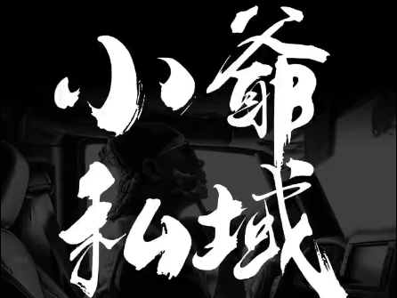 小爷·私域项目操盘手-鑫梵淘