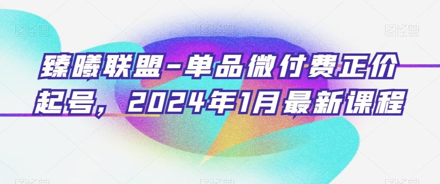 臻曦联盟-单品微付费正价起号，2024年1月最新课程-鑫梵淘