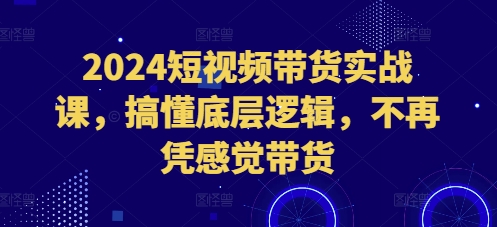 2024短视频带货实战课，搞懂底层逻辑，不再凭感觉带货-鑫梵淘