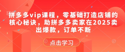 拼多多vip课程，零基础打造店铺的核心秘诀，助拼多多卖家在2025卖出爆款，订单不断-鑫梵淘