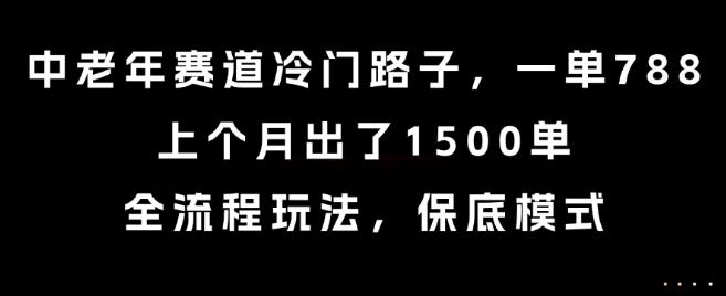 中老年赛道冷门路子，一单788，上个月出了1500单，全流程玩法，保底模式【揭秘】-鑫梵淘