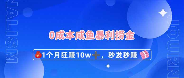 （14257期）0成本闲鱼暴利捞金，1个月狂赚10W+，秒发秒赚新玩法-鑫梵淘