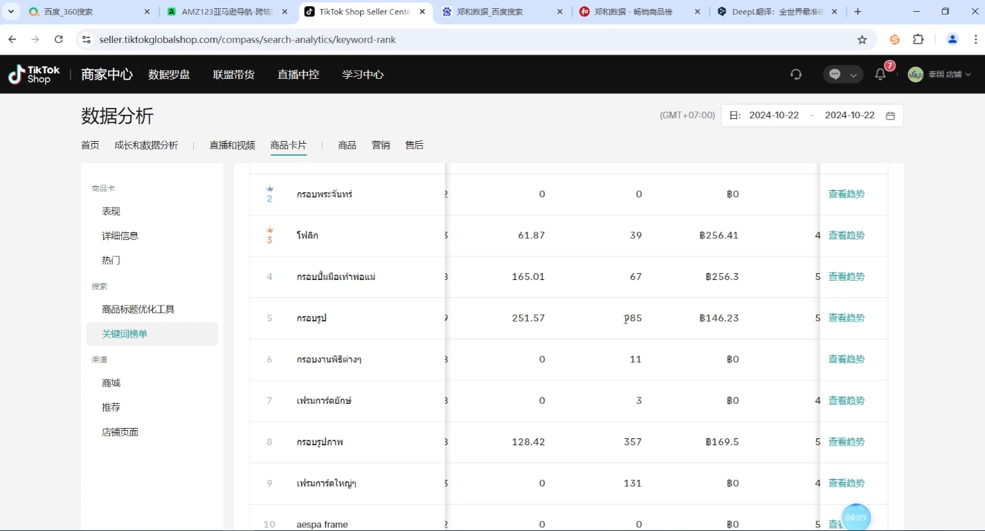 大鱼老师·Tiktok东南亚小店运营-鑫梵淘