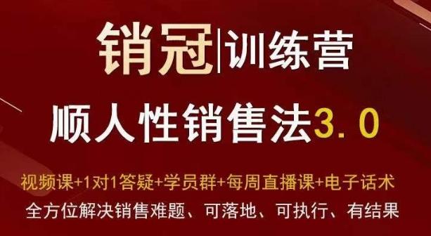 爆款！销冠训练营3.0之顺人性销售法，全方位解决销售难题、可落地、可执行、有结果-鑫梵淘