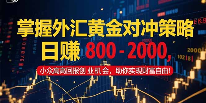 掌握外汇黄金对冲策略，日赚 800 – 2000，小众高回报创业机会，助你实…-鑫梵淘