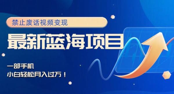 最新蓝海项目，靠禁止废话视频变现，一部手机，小白轻松月入过万！-鑫梵淘