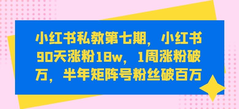 小红书私教第七期，小红书90天涨粉18w，1周涨粉破万，半年矩阵号粉丝破百万-鑫梵淘