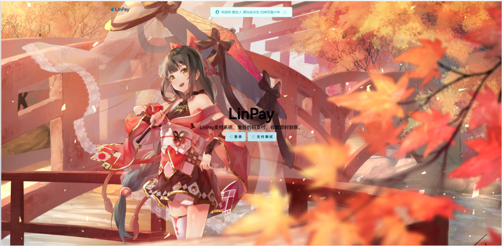 2024首发最新LinPay码支付免授权版，LinPay码支付官网，码支付，源支付-鑫梵淘