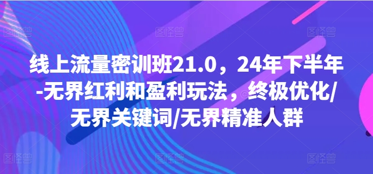 线上流量密训班21.0，24年下半年-无界红利和盈利玩法，终极优化/无界关键词/无界精准人群-鑫梵淘