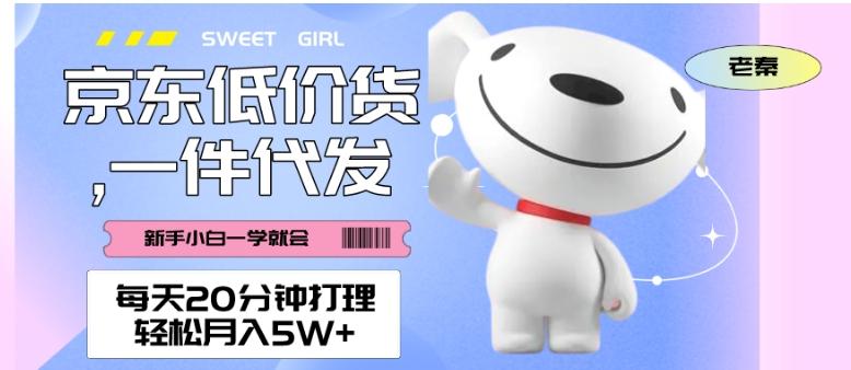 每天20分钟打理京东低价货，一件代发-轻松月入5W＋-鑫梵淘