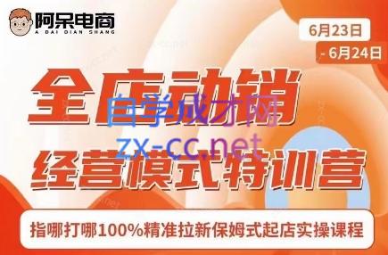 阿呆电商·全店动销经营模式特训营(线下录音+思维导图)-鑫梵淘