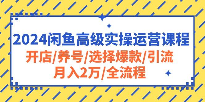 2024闲鱼高级实操运营课程：开店/养号/选择爆款/引流/月入2万/全流程-鑫梵淘