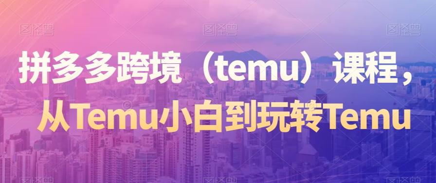 拼多多跨境（temu）课程，从Temu小白到玩转Temu-鑫梵淘