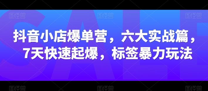 抖音小店爆单营，六大实战篇，7天快速起爆，标签暴力玩法-鑫梵淘