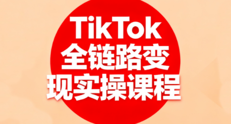 小杨老师·TikTok全链路变现实操课程-鑫梵淘