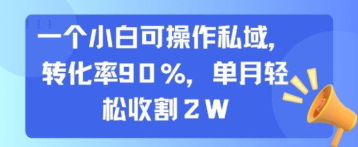 一个小白可操作私域，转化率90%，单月轻松收割2W-鑫梵淘